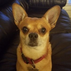 Meet your Posher, Jhoanna